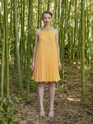 ΜΙΝΙ ΦΟΡΕΜΑ ΠΛΙΣΕ